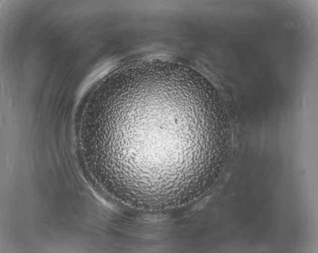 X0000078020245200611101854