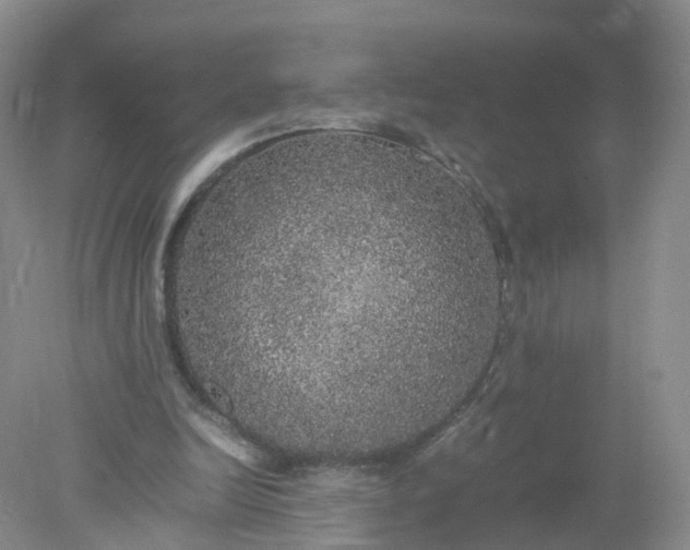 X0000078020246200611101854