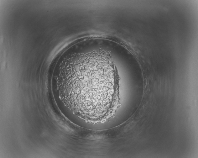 X0000078020247200611101854