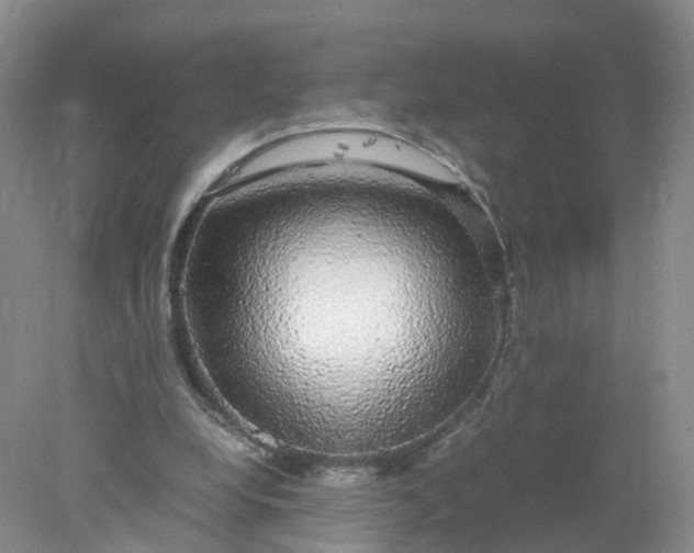 X0000078020248200611101854