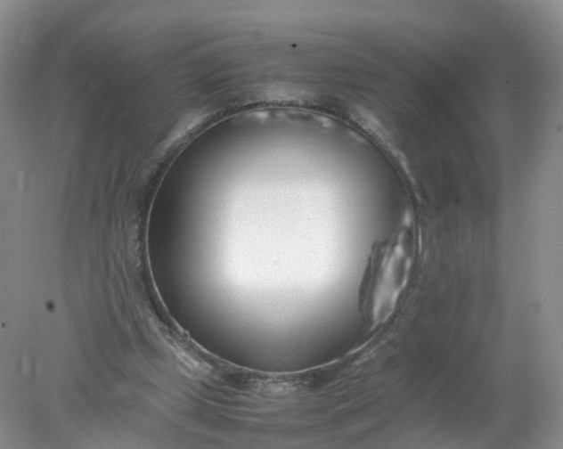 X0000078020249200611101854