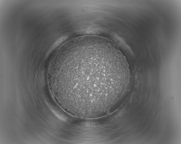 X0000078020250200611101854