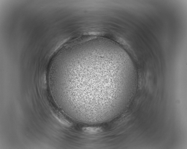 X0000078020251200611101854