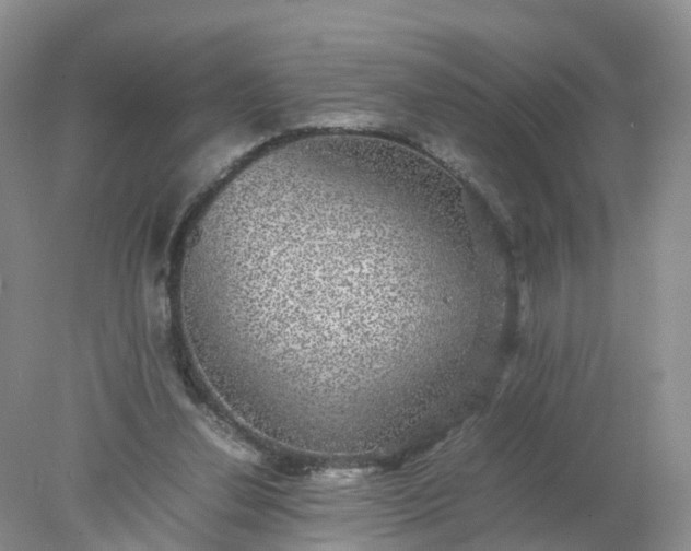 X0000078020252200611101854