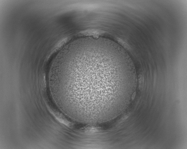 X0000078020254200611101854