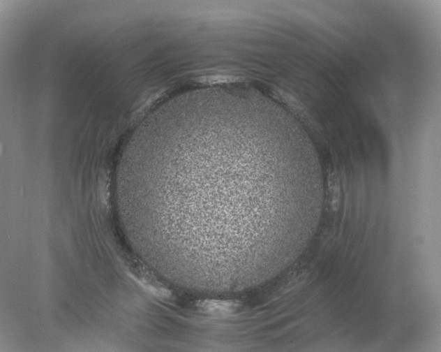 X0000078020255200611101854