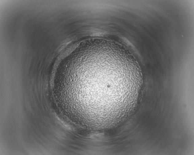 X0000078020257200611101854