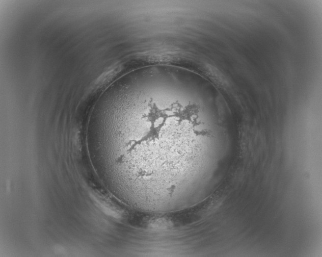 X0000078020258200611101854