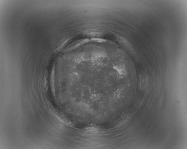 X0000078020259200611101854