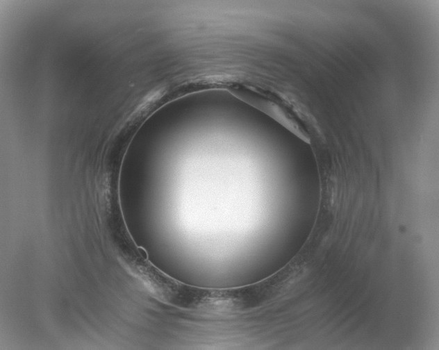 X0000078020260200611101854