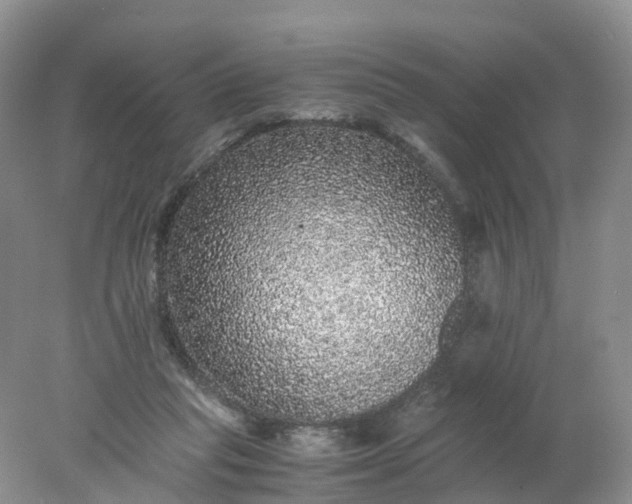 X0000078020261200611101854