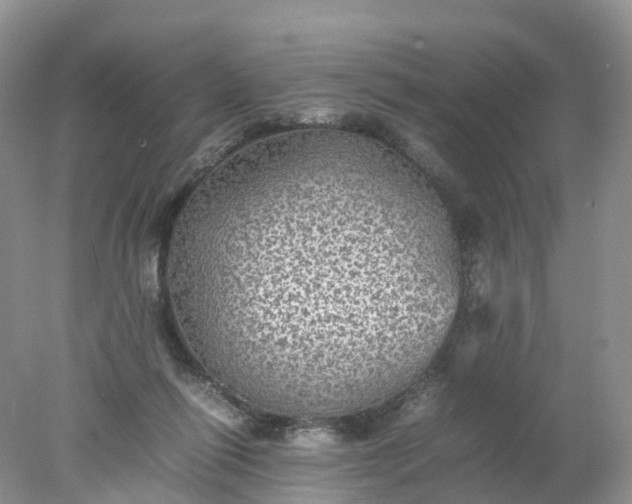 X0000078020262200611101854