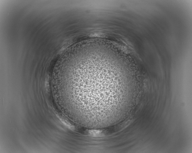 X0000078020265200611101854