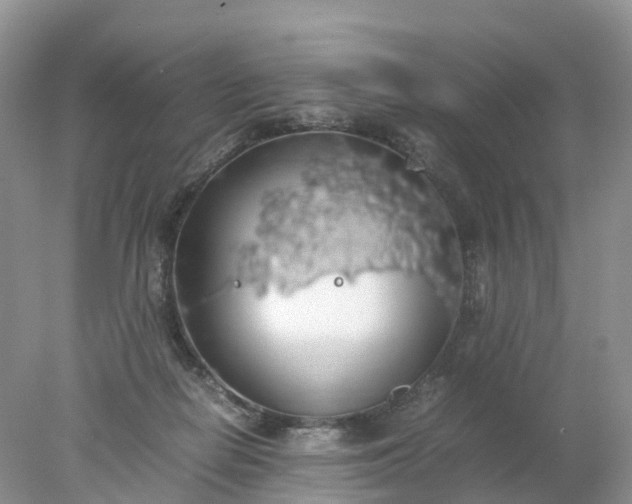 X0000078020266200611101854