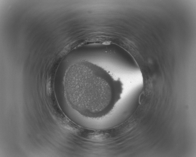 X0000078020267200611101854