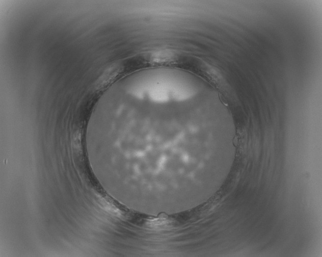 X0000078020269200611101854