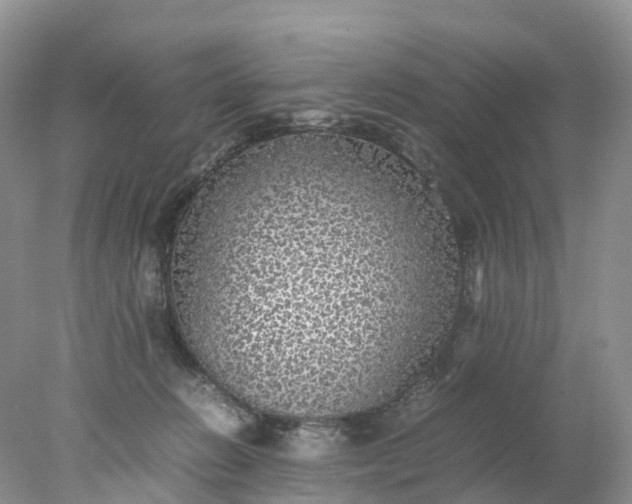 X0000078020270200611101854