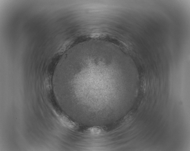 X0000078020272200611101854