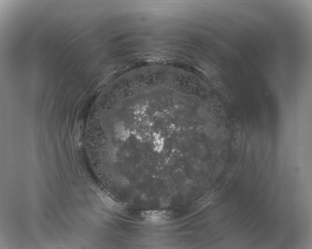 X0000078020273200611101854