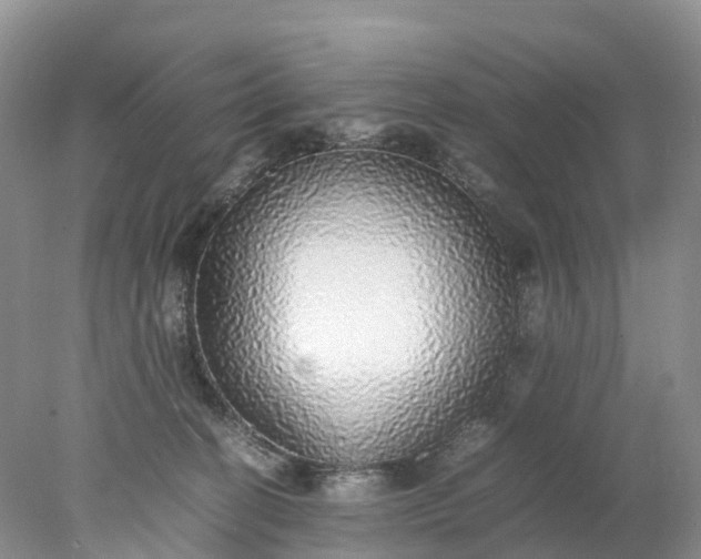 X0000078020274200611101854