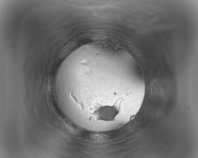 X0000078020277200611101854