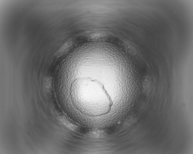 X0000078020278200611101854