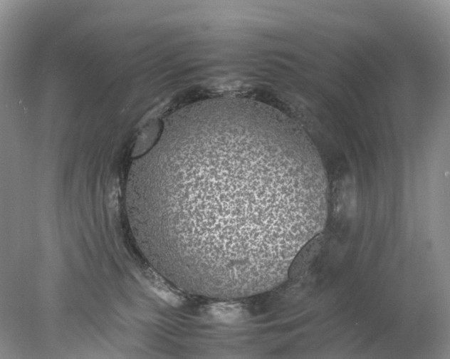 X0000078020279200611101855