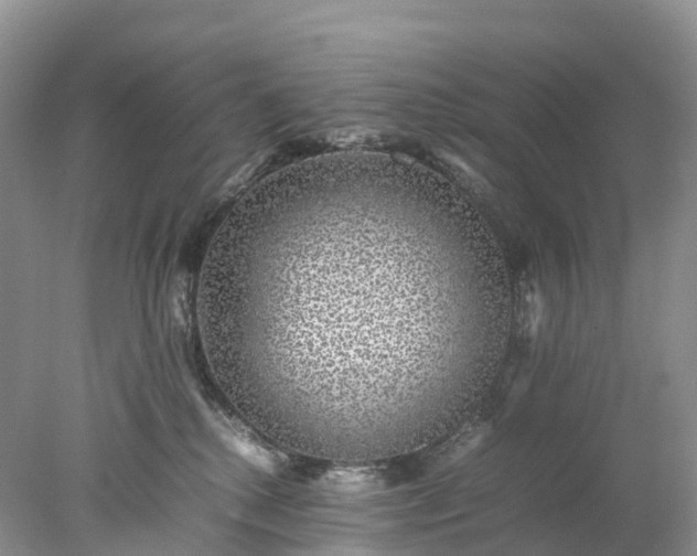 X0000078020280200611101855