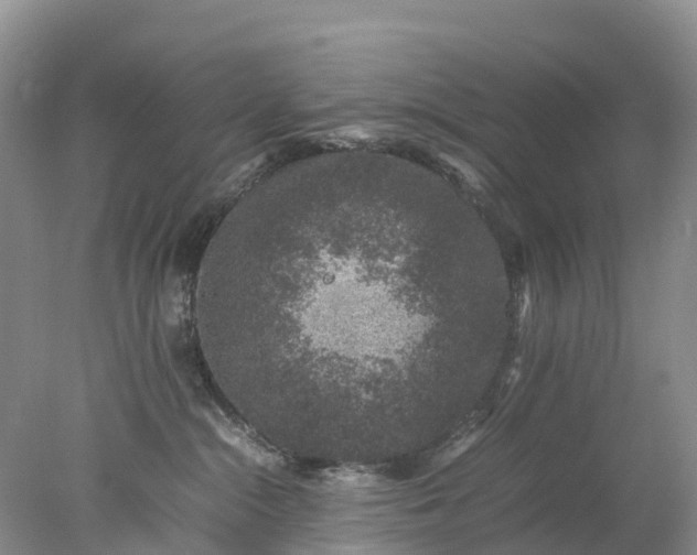 X0000078020284200611101855