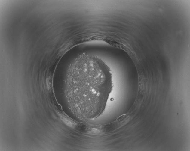 X0000078020285200611101855