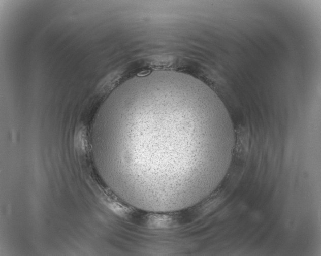 X0000078020287200611101855