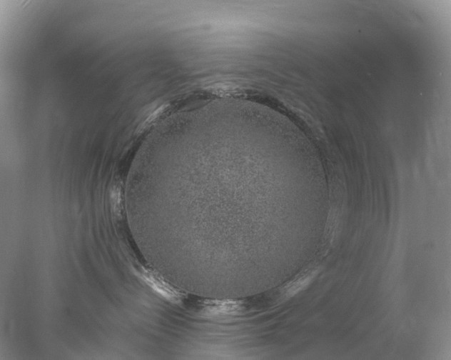 X0000078020288200611101855