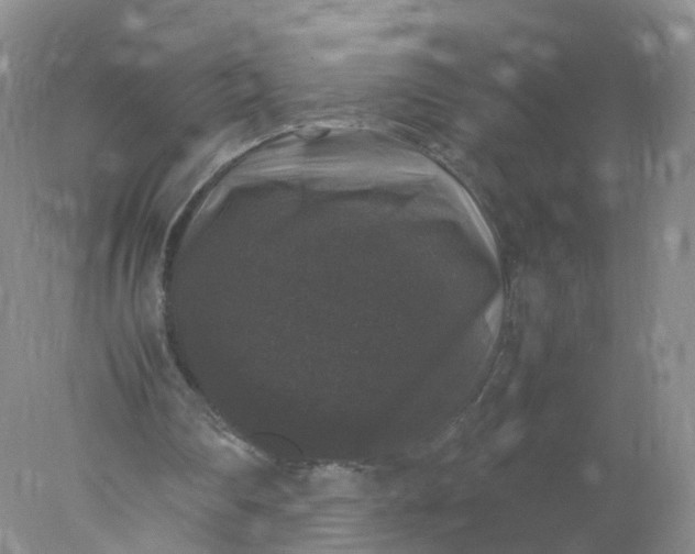 X0000078020290200611101854