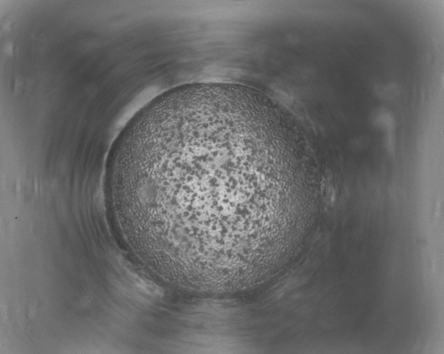 X0000078020292200611101854