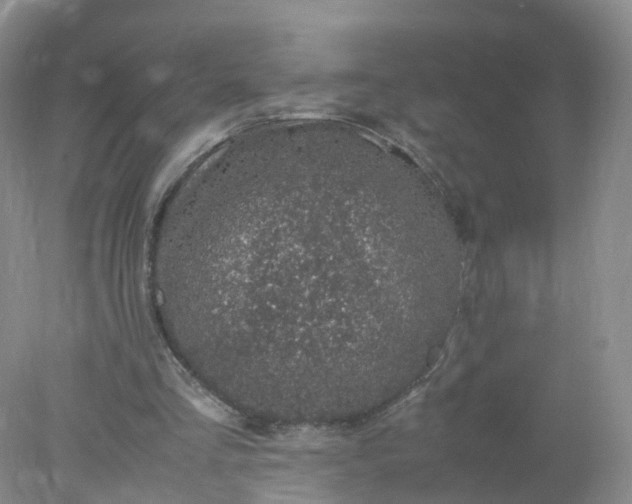 X0000078020293200611101854