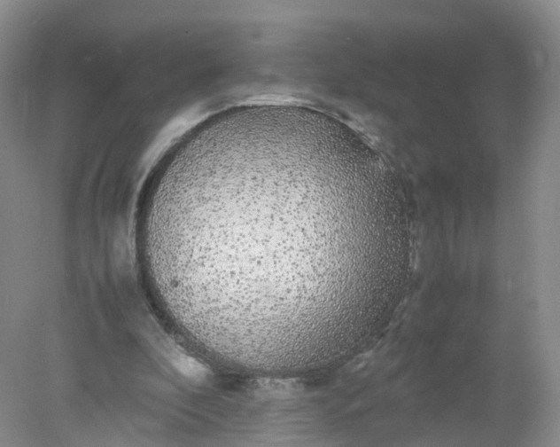 X0000078020296200611101854