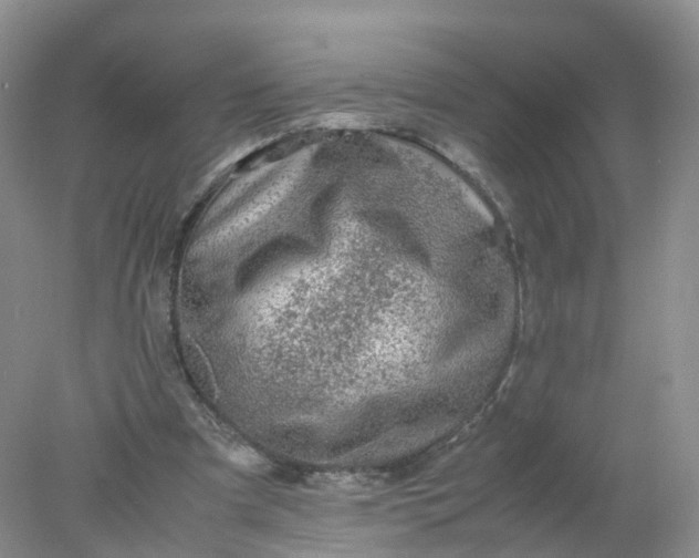 X0000078020297200611101854