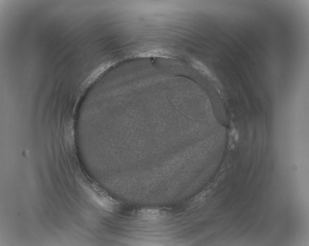 X0000078020298200611101854