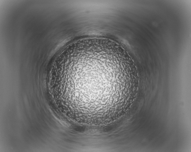 X0000078020299200611101854