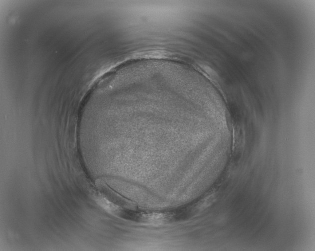 X0000078020301200611101854