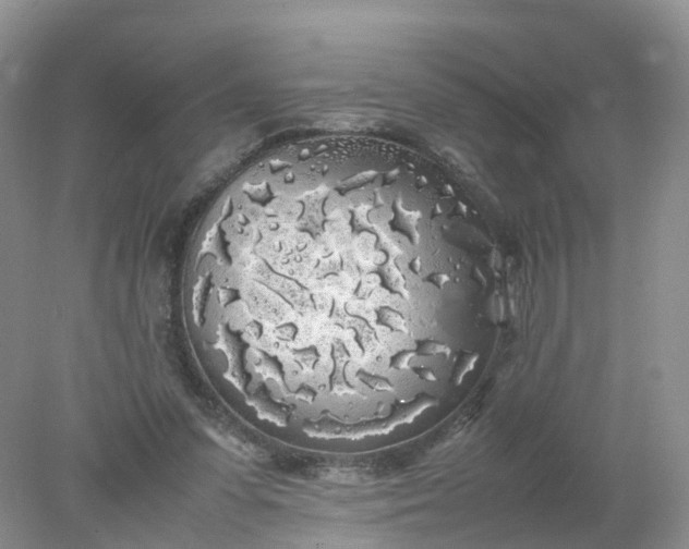 X0000078020303200611101854