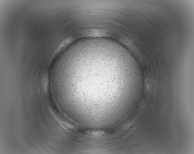 X0000078020304200611101854