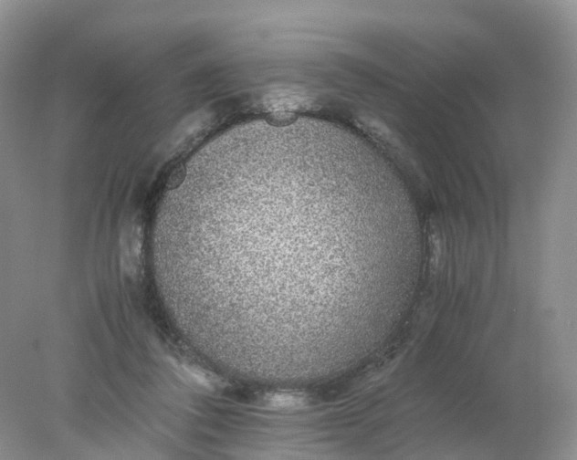 X0000078020308200611101854