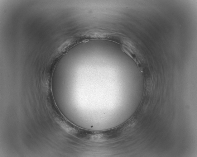 X0000078020309200611101854