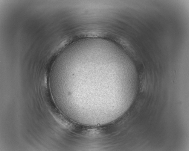 X0000078020310200611101854