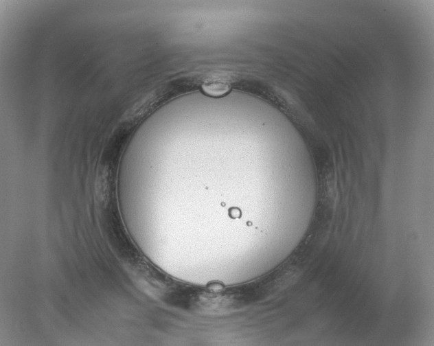 X0000078020311200611101853