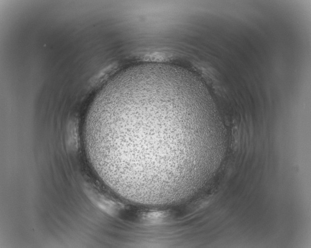 X0000078020312200611101853