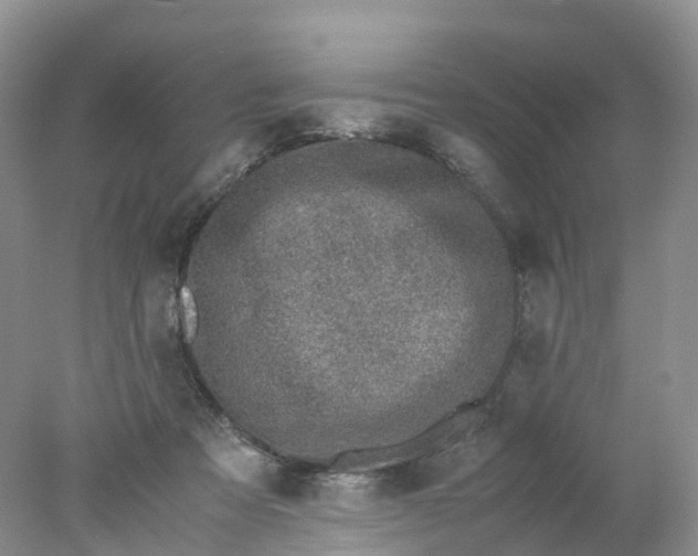 X0000078020313200611101853