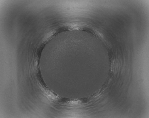 X0000078020314200611101853