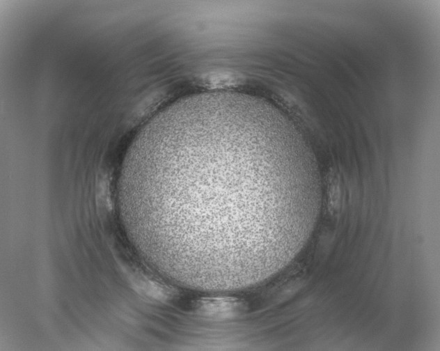 X0000078020316200611101853